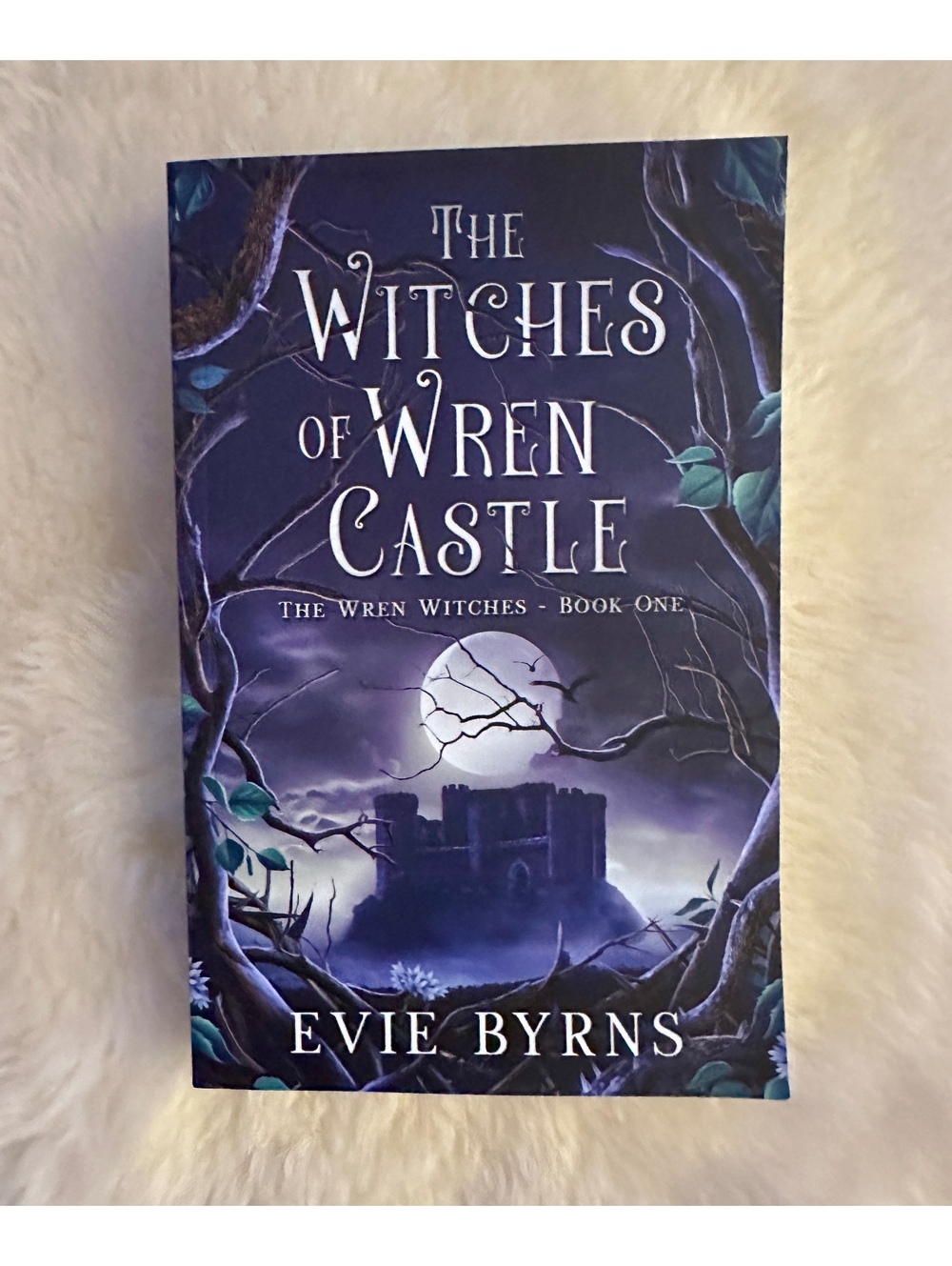 The Witches of Wren Castle: Book One of The Wren Witches by Evie Byrns